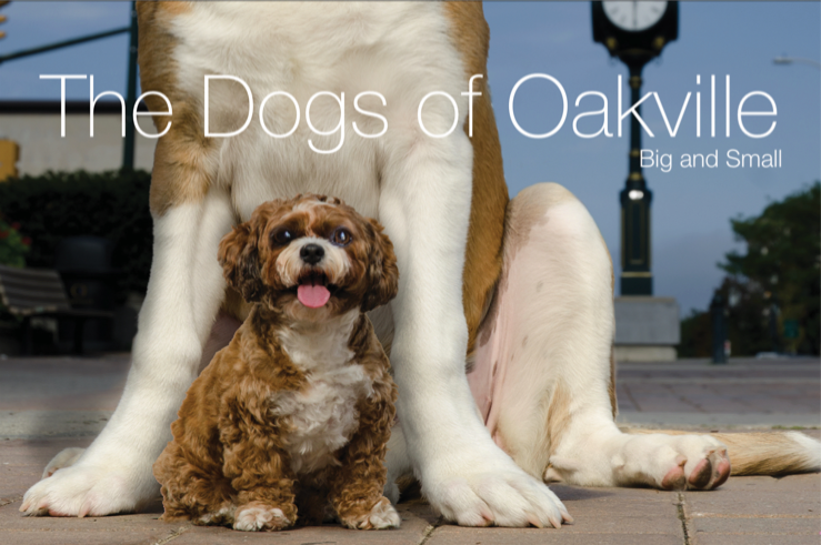 The Two Dogs of Oakville book cover